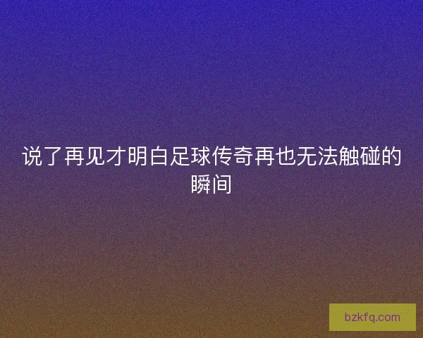 说了再见才明白足球传奇再也无法触碰的瞬间